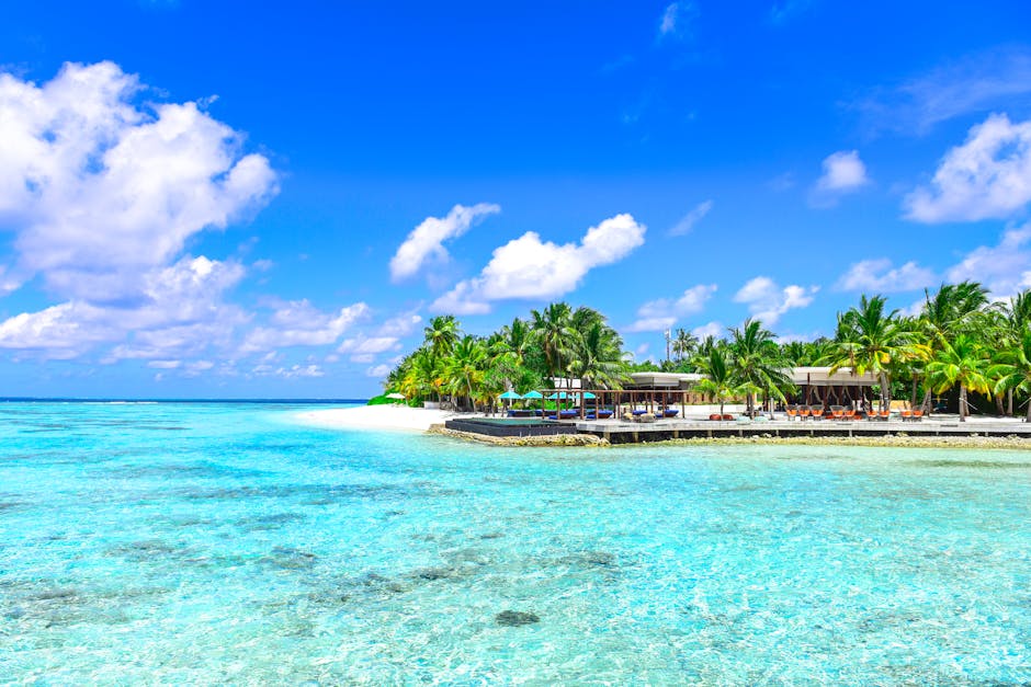 Scenic daytime view of a sandy seashore and clear blue waters during a Sandbar Islamorada trip