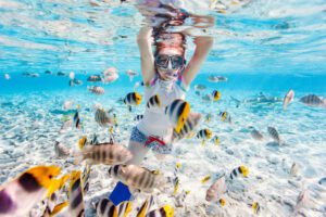 best places to snorkel in florida