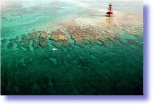 Aerial view of the Florida Keys Barrier Reef with turquoise waters and intricate coral patterns.