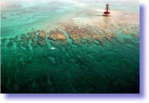Aerial view of the Barrier Reef in the Florida Keys with turquoise waters and intricate coral patterns.